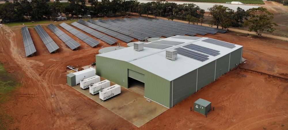 Sustainable winemaking at Andrew Peace Wines includes 1MW of solar and three 500kVA bio-diesel generators.