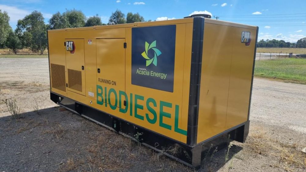 Biodiesel generator providing energy security